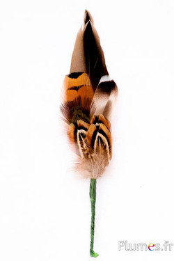 Composition en plumes n° 11 - longueur 16 cm - naturel